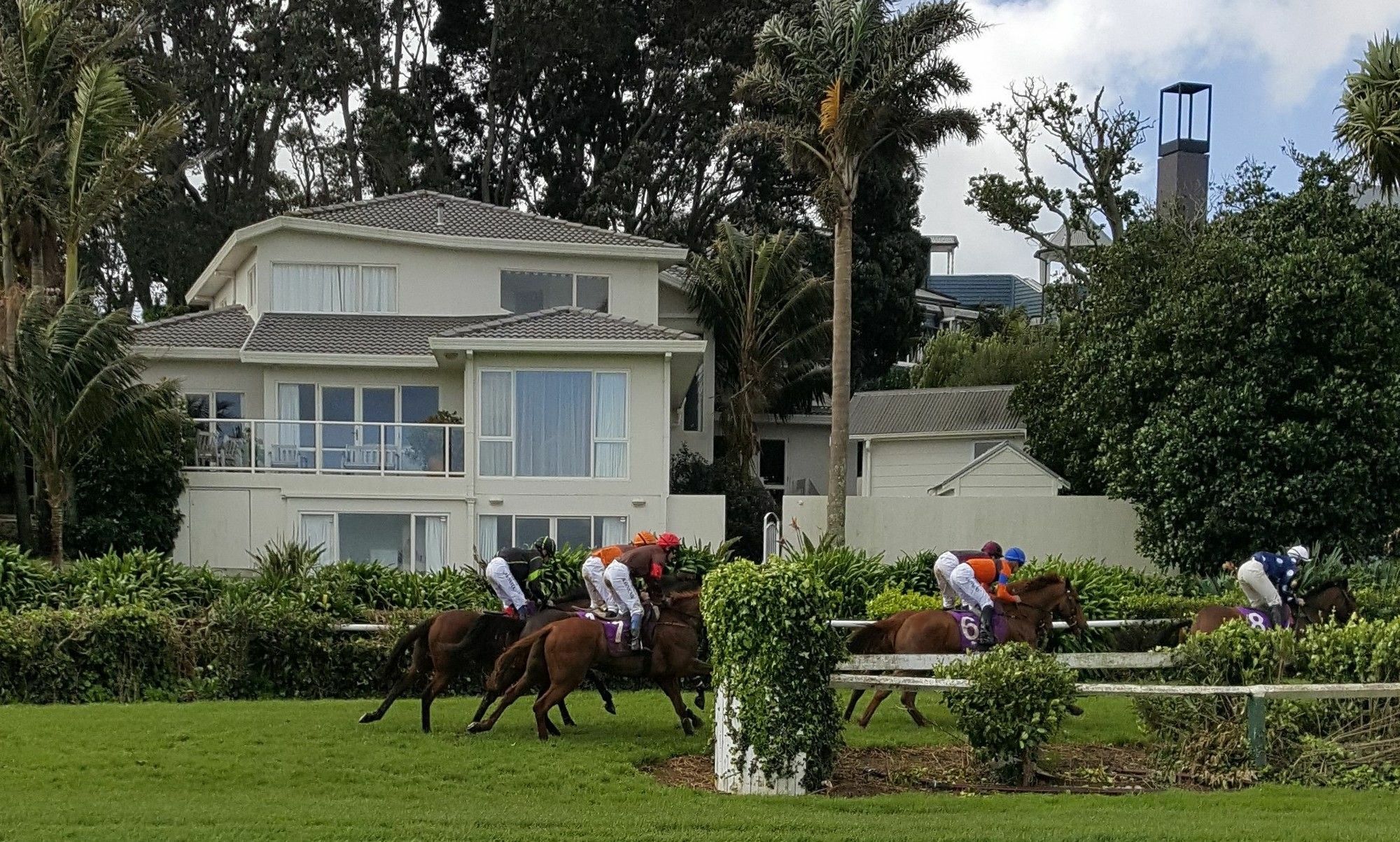 Racecourse Deluxe Lejlighed Auckland Eksteriør billede