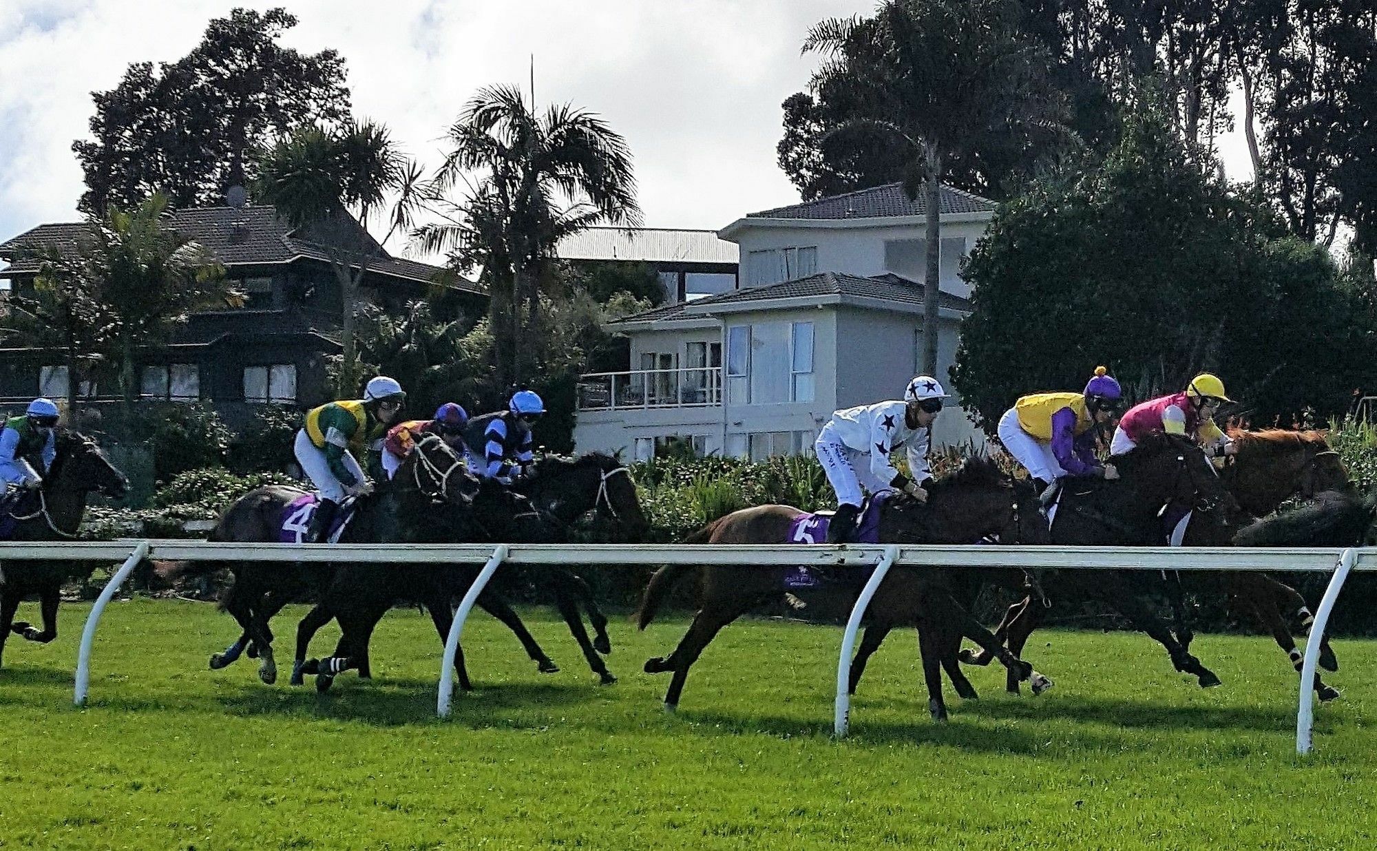 Racecourse Deluxe Lejlighed Auckland Eksteriør billede